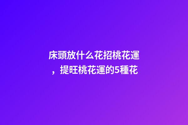 床頭放什么花招桃花運，提旺桃花運的5種花